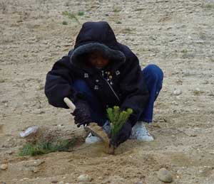 Planting a tree for arbor day. Photo by Tim Green