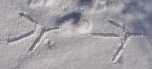 Great blue heron tracks in the snow.  Photo by Bet Zimmerman